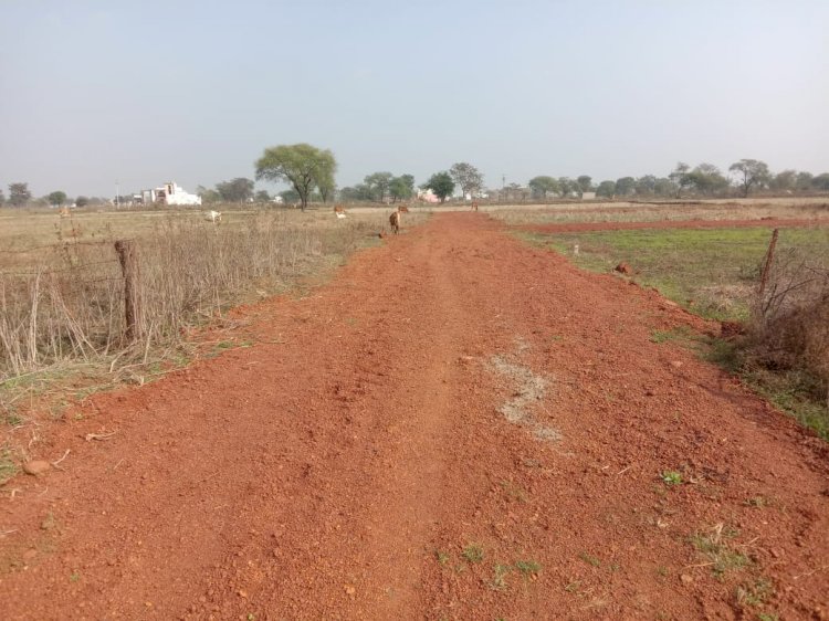 रेलवे स्टेशन से लगा कृषि जमीन को भूमाफियाओं द्वारा की जा रही अवैध प्लांटिंग  इन माफियाओं का पालिका के अलग अलग क्षेत्रों में की जा रही अवैध प्लांटिंग