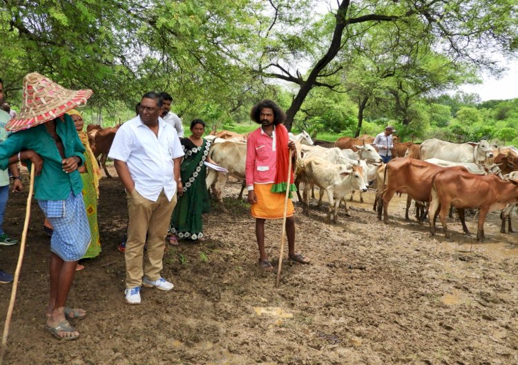 मुख्यमंत्री के सलाहकार श्री प्रदीप शर्मा ने गुण्डरदेही विकासखण्ड के ग्राम पैरी के गौठान का किया निरीक्षण गौठान में नियमित रूप से गोबर खरीदी के दिए निर्देश