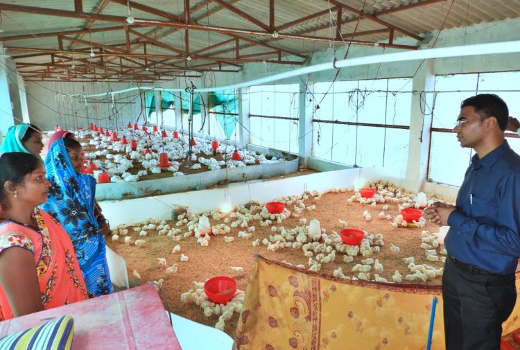 गौठान बन रहा मुर्गीपालन गतिविधि का प्रमुख केन्द्र ग्राम पाकुरभाट श्रद्धा संयुक्त देयता स्व-सहायता समूह की महिलाओं ने अब तक कमाए 01.35 लाख रुपए