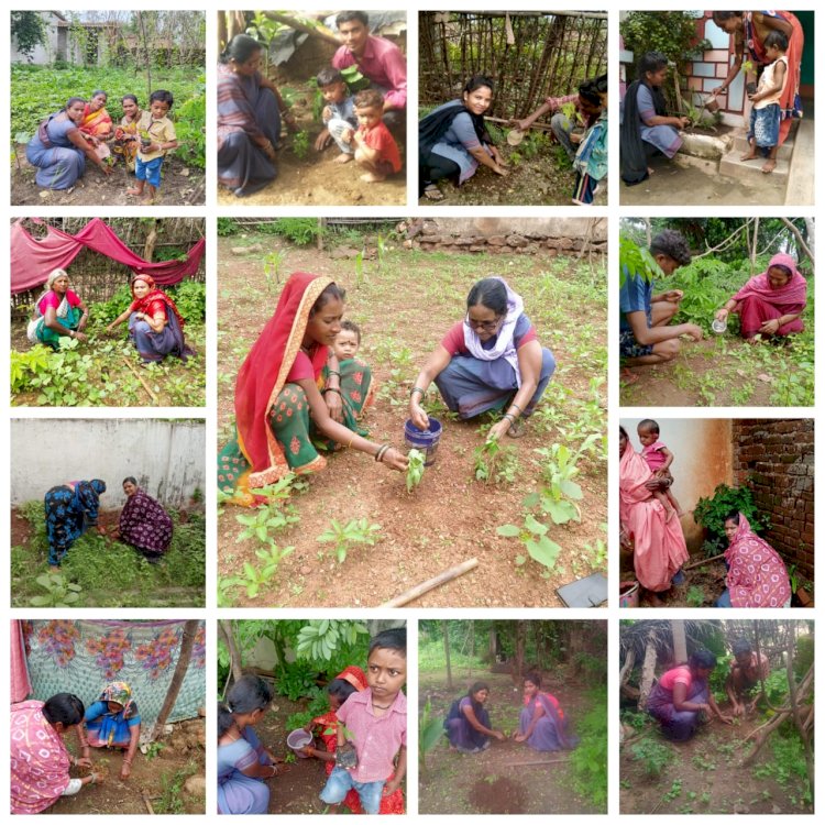 मुख्यमंत्री सुपोषण अभियान के अंतर्गत कलेक्टर कुलदीप शर्मा के निर्देशानुसार जिले के कुपोषित बच्चों एवं एनिमिक महिलाओं के घरों में किया जा रहा है पपीता एवं मुनगे के पौधे का रोपण