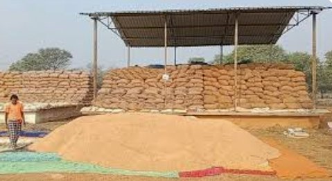 बालोद जिले में खरीफ विपणन वर्ष 2023-24 के अंतर्गत अब तक 02 लाख 21 हजार 163 मेट्रिक टन से अधिक धान की हुई खरीदी