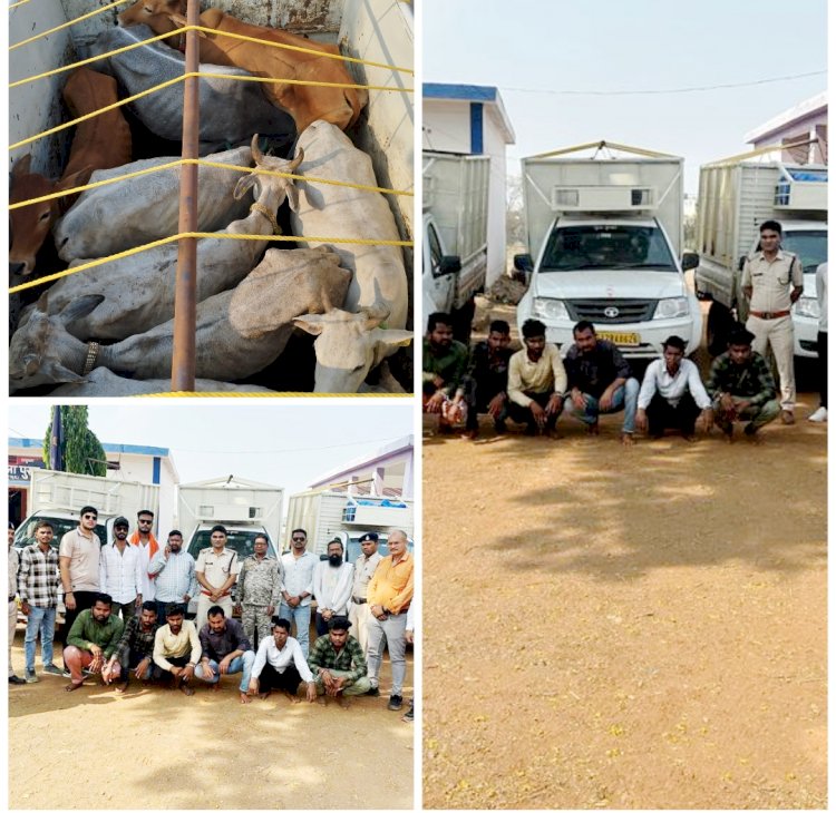 पुलिस अधीक्षक बालोद एस०आर० भगत, अतिरिक्त पुलिस अधीक्षक सुशील कुमार नायक के मार्गदर्शन में थाना पुरूर पुलिस टीम को पशु तस्करी करने वाले 06 आरोपी को पकड़ने में बड़ी सफलता हासिल की गई।  