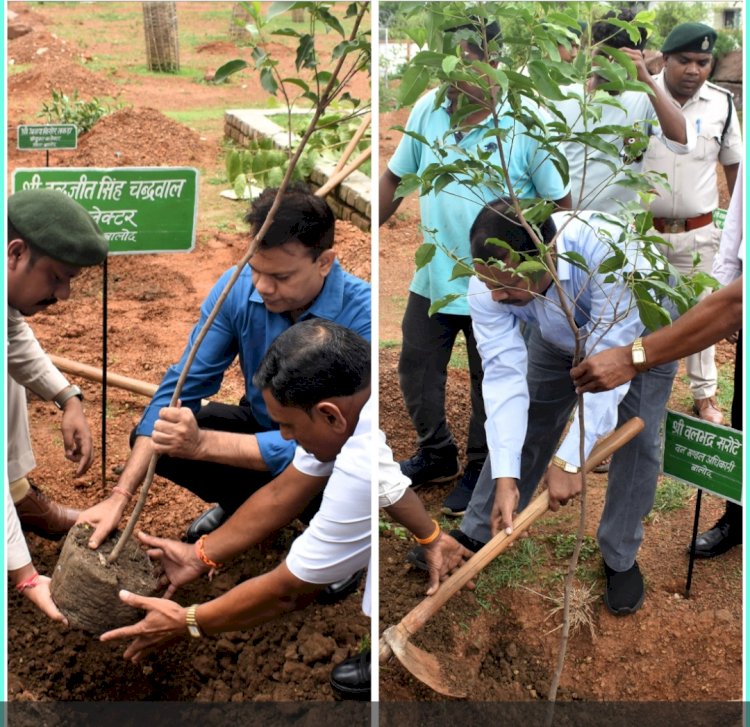 सघन वृक्षारोपण अभियान के अंतर्गत कलेक्टर,इन्द्रजीत सिंह चन्द्रवाल वनमण्डलाधिकारी,बीएस सरोटे सीईओ डॉ संजय कनोजे जिला पंचायत सहित अधिकारी-कर्मचारियों ने किया वृक्षारोपण