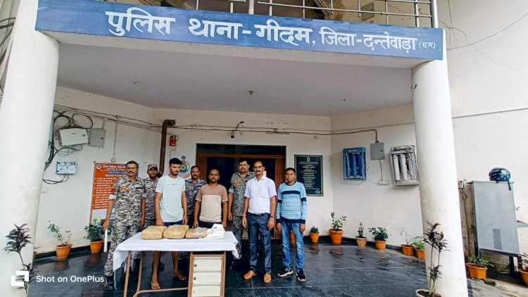 अवैध गांजा तस्करो के विरूद्ध थाना गीदम पुलिस की कार्यवाही 