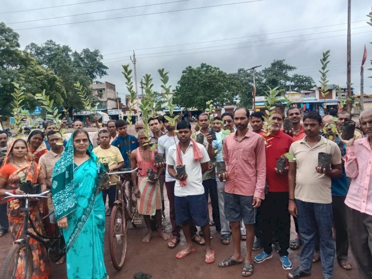 हरेली पर्व पर ग्राम  मोहंदीपाठ  में किया पौधरोपण एक पेड़ मां के नाम अभियान जारी.....